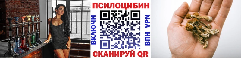 omg ТОР  Шахунья  Псилоцибиновые грибы прущие грибы 